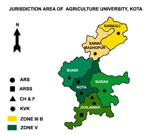 Service Area Agriculture University kota