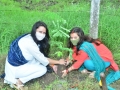 PLANTATION AT CH&F, JHALAWAR