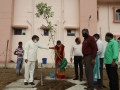 PLANTATION AT UNIV. HEADQUARTER