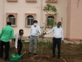 PLANTATION AT UNIV. HEADQUARTER